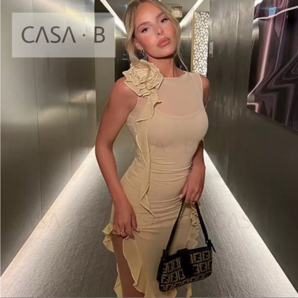 NEW to CASA B💫|Florencia Sheer Tulle Flower Appliqué Women’s mini Dress in Nude - Picture 4 of 6